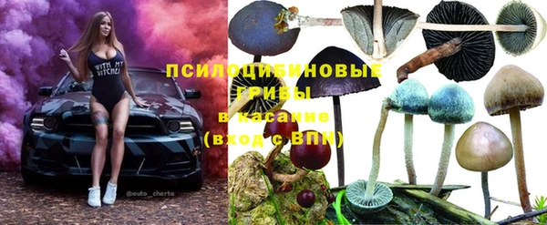 метадон Каменск-Шахтинский
