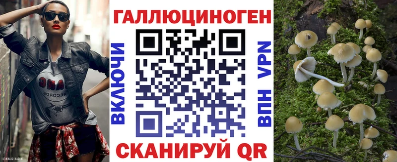 Псилоцибиновые грибы Psilocybine cubensis  закладки  Макушино 